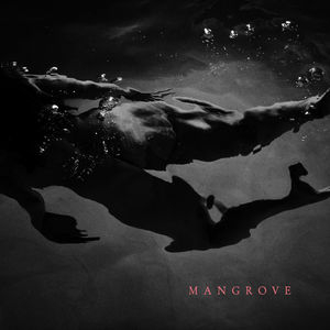 Mangrove