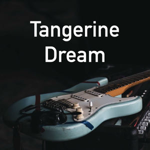 Tangerine Dream - BBC Radio Broadcast In Concert Series The Royal Albert Hall London 2nd April 1975