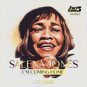 I'm Coming Home (Fort Knox Five Remixes)