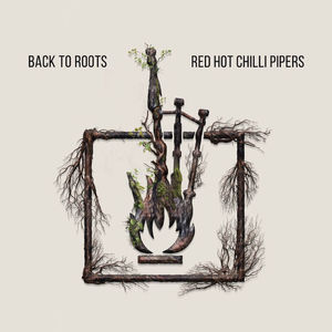 Back to Roots