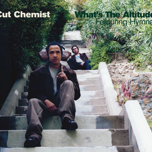 What's The Altitude (feat. Hymnal) (DMD Maxi)