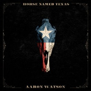 Horse Named Texas