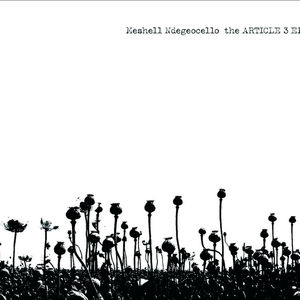 The Article 3