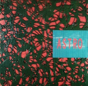 Acid Safari