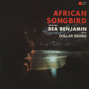 African Songbird