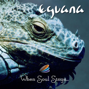 When Soul Sings...