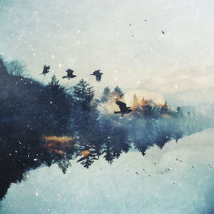 Echoes of Silence / Ambient Reverie
