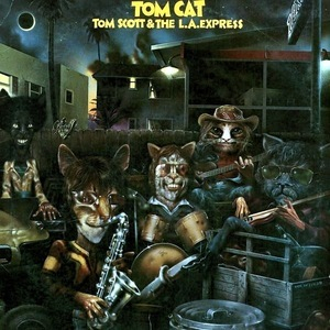 Tom Cat