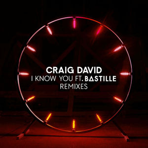 I Know You (Remixes) (feat. Bastille)