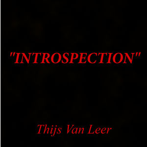 Introspection