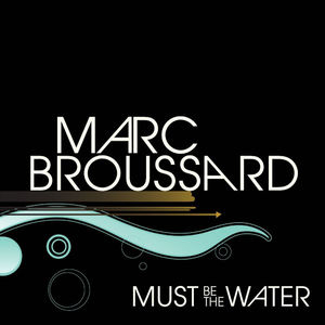 Must Be The Water