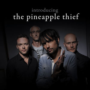 Introducing... The Pineapple Thief