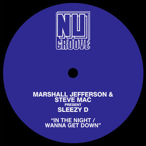 In The Night / Wanna Get Down