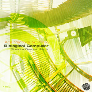 Biological Computer