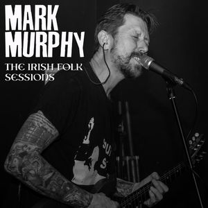 The Irish Folk Sessions