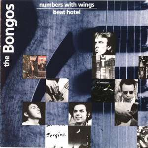 Numbers With Wings/beat Hotel