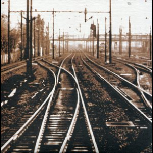 35 Rhums
