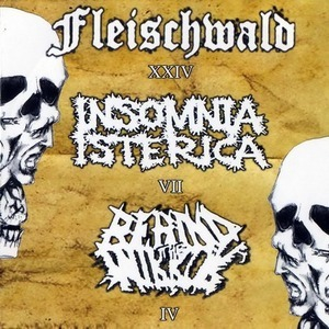 Fleischwald / Insomnia Isterica / Behind The Mirror