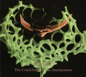 The Crackling Of The Anonymous