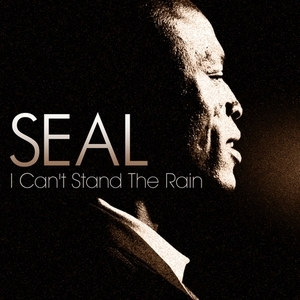 I Can't Stand The Rain (cd Maxi)