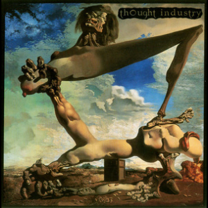 Songs For Insects