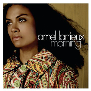 Amel Larrieux - Morning (2006) FLAC MP3 DSD SACD Download HD Music ...