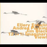 Ellery Eskelin With Andrea Parkins & Jim Black - 12 (+1) Imaginary Views '2002