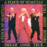 A Flock Of Seagulls - Dream Come True '1986