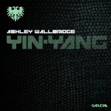 Ashley Wallbridge - Yin-Yang [web] '2013