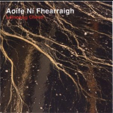 Aoife Ni Fhearraigh - Loinneog Cheoil '2005