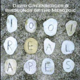 David Greenberger & Birdsongs Of The Mesozoic - 1001 Real Apes '2006