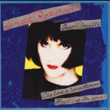 Linda Ronstadt - Cry Like A Rainstorm, Howl Like The Wind '1989