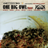 Owl - Big Picture '2011