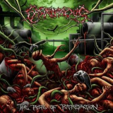 Gastrorrexis - The Taste Of Putrefaction '2013