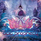 Acid Prophecy - Sons Of Solar Empire '2013