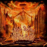 Hate Storm Annihilation - Storm Of Flames '2014