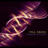 Paul Simon - So Beautiful Or So What '2011