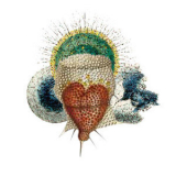 Medeski Martin & Wood - Remixolarians '2009