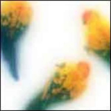 Ashera - Colour Glow '2000