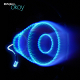 Env (itre) - Okoy '2007