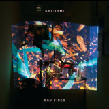 Shlohmo - Bad Vibes '2011