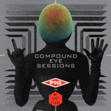 Pig vs. Mc Lord Of The Flies - Compound Eye Sessions '2015