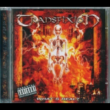 Transfixion - What's Real? '2006