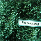 Roedelius - Roedeliusweg '2000