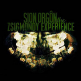 Sion Orgon - The Zsigmondy Experience '2008