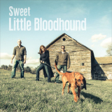 Sweet Little Bloodhound - Sweet Little Bloodhound '2014