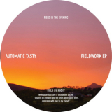 Automatic Tasty - Fieldwork EP '2012