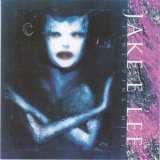 Jake E. Lee - A Fine Pink Mist '1996