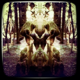 Feersum Enjinn - Feersum Enjinn '2011