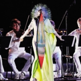 Bjork - Vulnicura Strings '2015